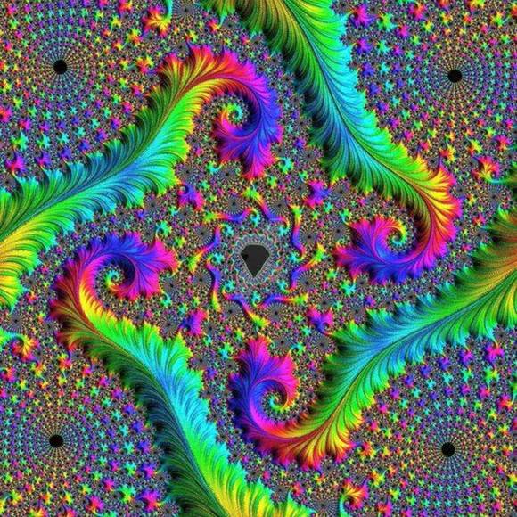 Meet your Posher, Tami - Picture 1 of 1